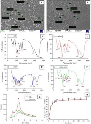 Chitosan encompassed Aniba rosaeodora essential oil as innovative green candidate for antifungal and antiaflatoxigenic activity in millets with emphasis on cellular and its mode of action